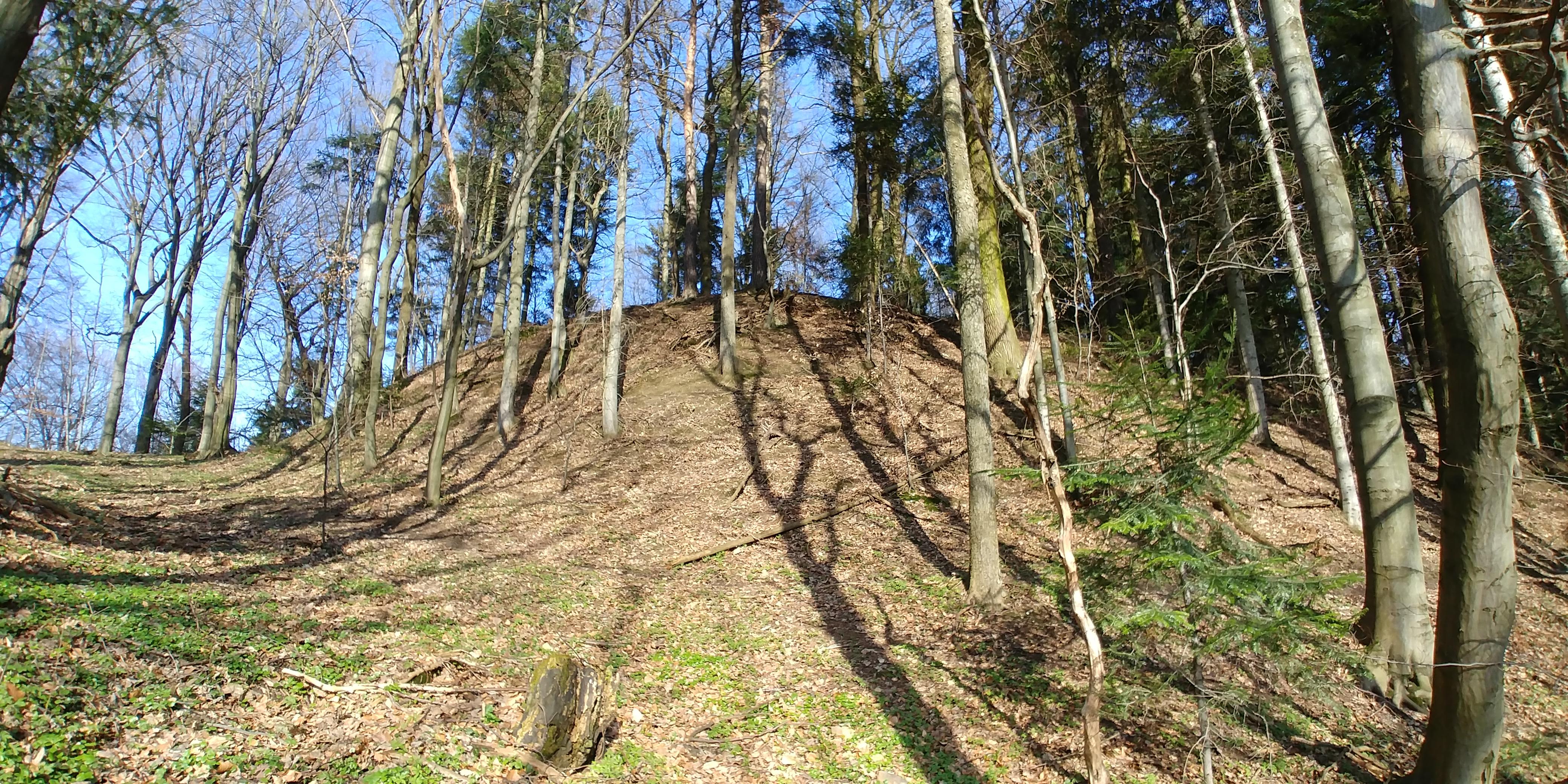 Grodzisko w Przeczycy